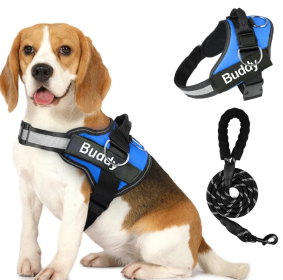 Pet Clothing Dog Couple Chest Strap Rope (Option: Blue-XL)