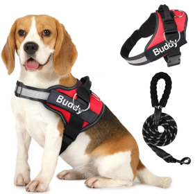 Pet Clothing Dog Couple Chest Strap Rope (Option: Red-L)