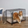 Double Door iCrate Metal Dog Crate, 42"