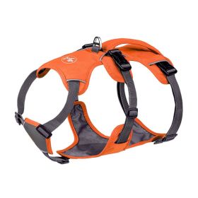 Pet Harness Dog Hand Holding Rope (Option: Orange-XS)